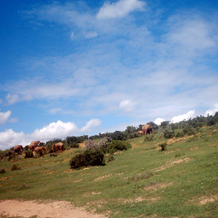 mother africa Klickitat Street