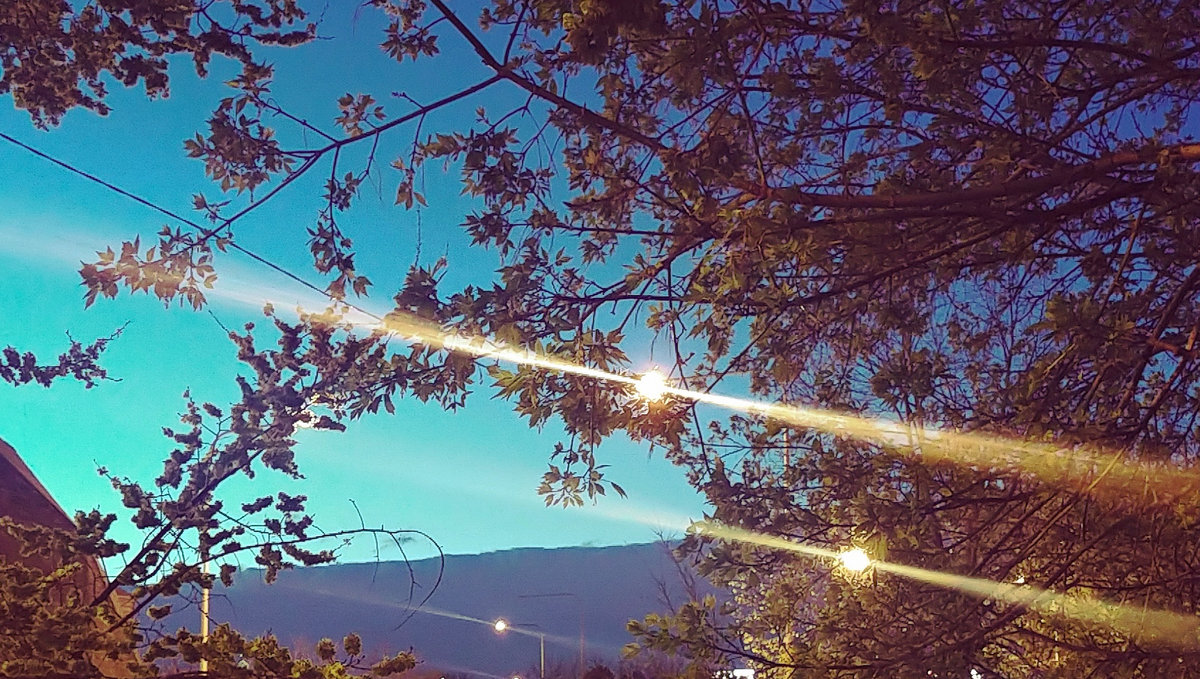 Live Sunday Service Kevin Drumm kevin drumm