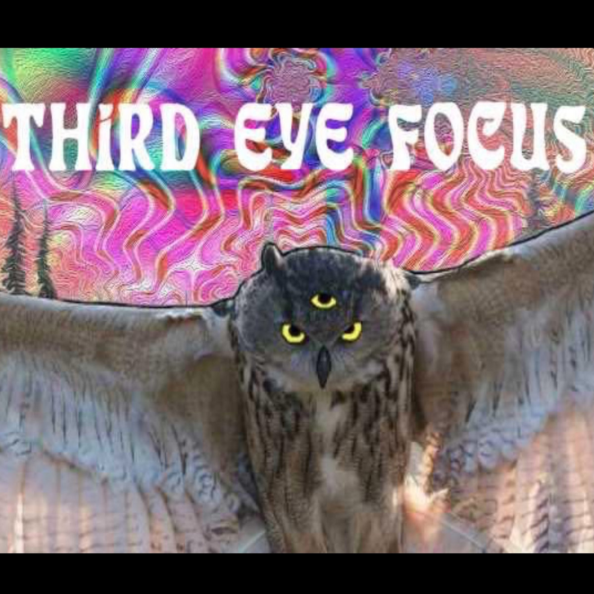 What The Fuck Happened Last Night Third Eye Focus