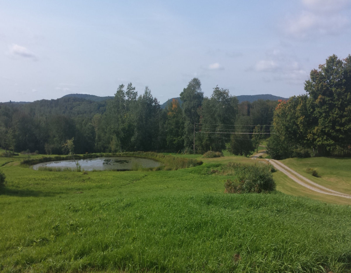 When the Roses Bloom Again Lyrics by Will D Cobb, Music by Jeff