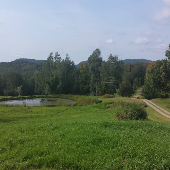 When the Roses Bloom Again Lyrics by Will D Cobb, Music by Jeff