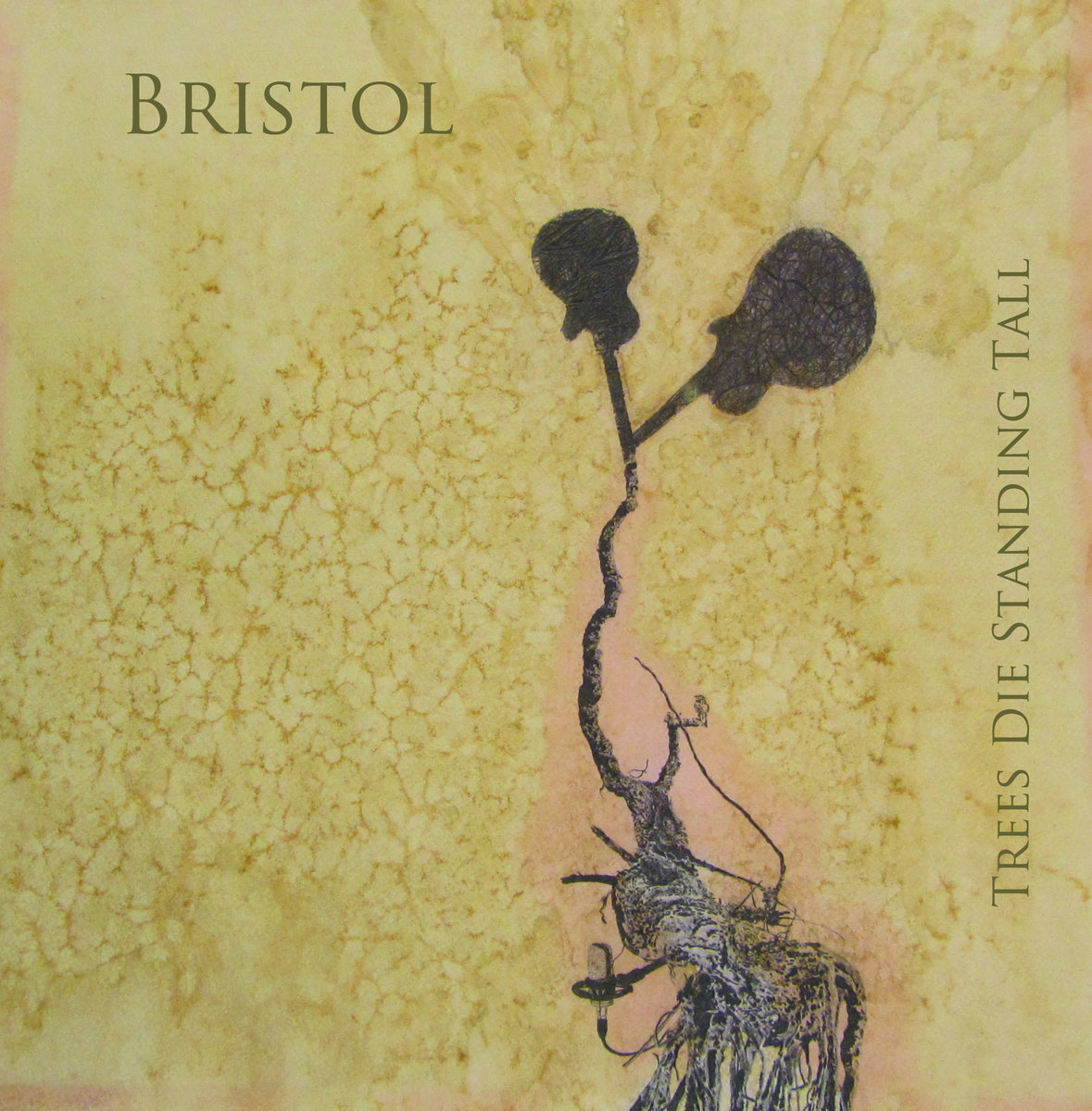 Trees Die Standing Tall Bristol