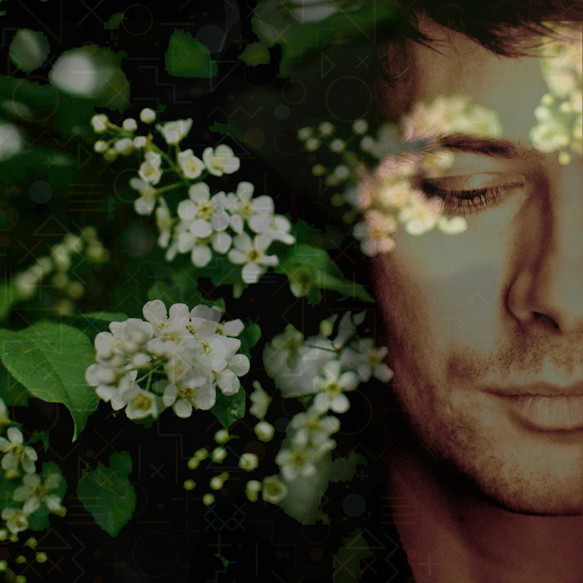 Endless Night Isaac Howlett