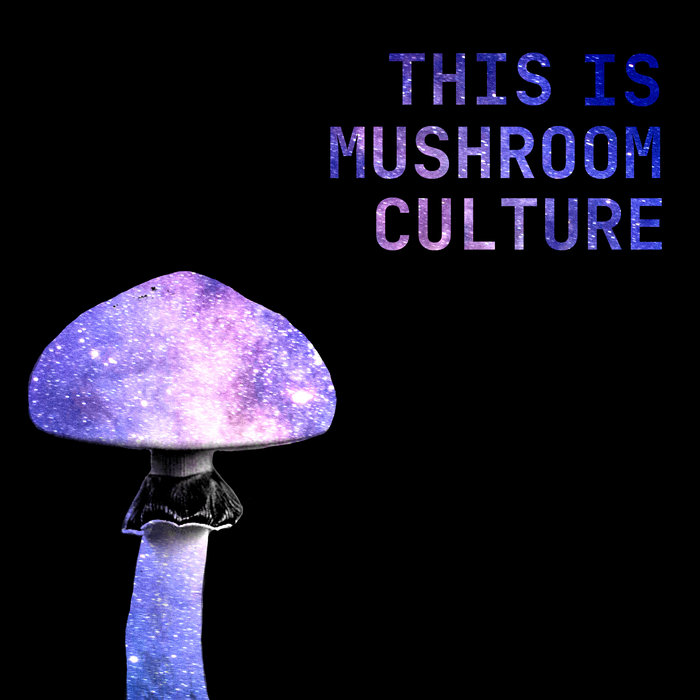 This is Mushroom Culture Mushroom Culture