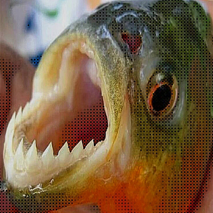 Piranha PiranhaNoise Sign Up for an Artist Account Records