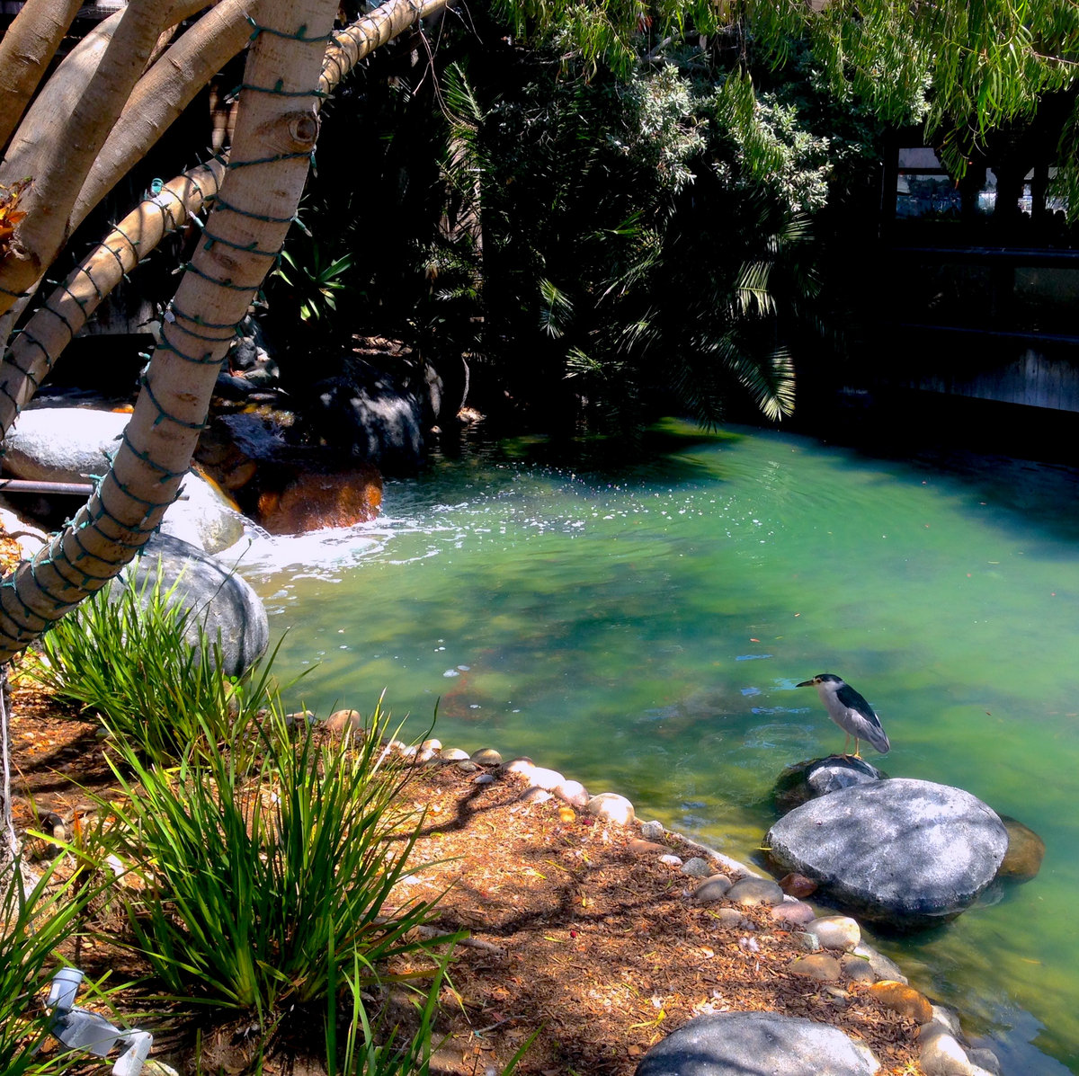 h i t s t h e f o l l o w i n g Remlarr