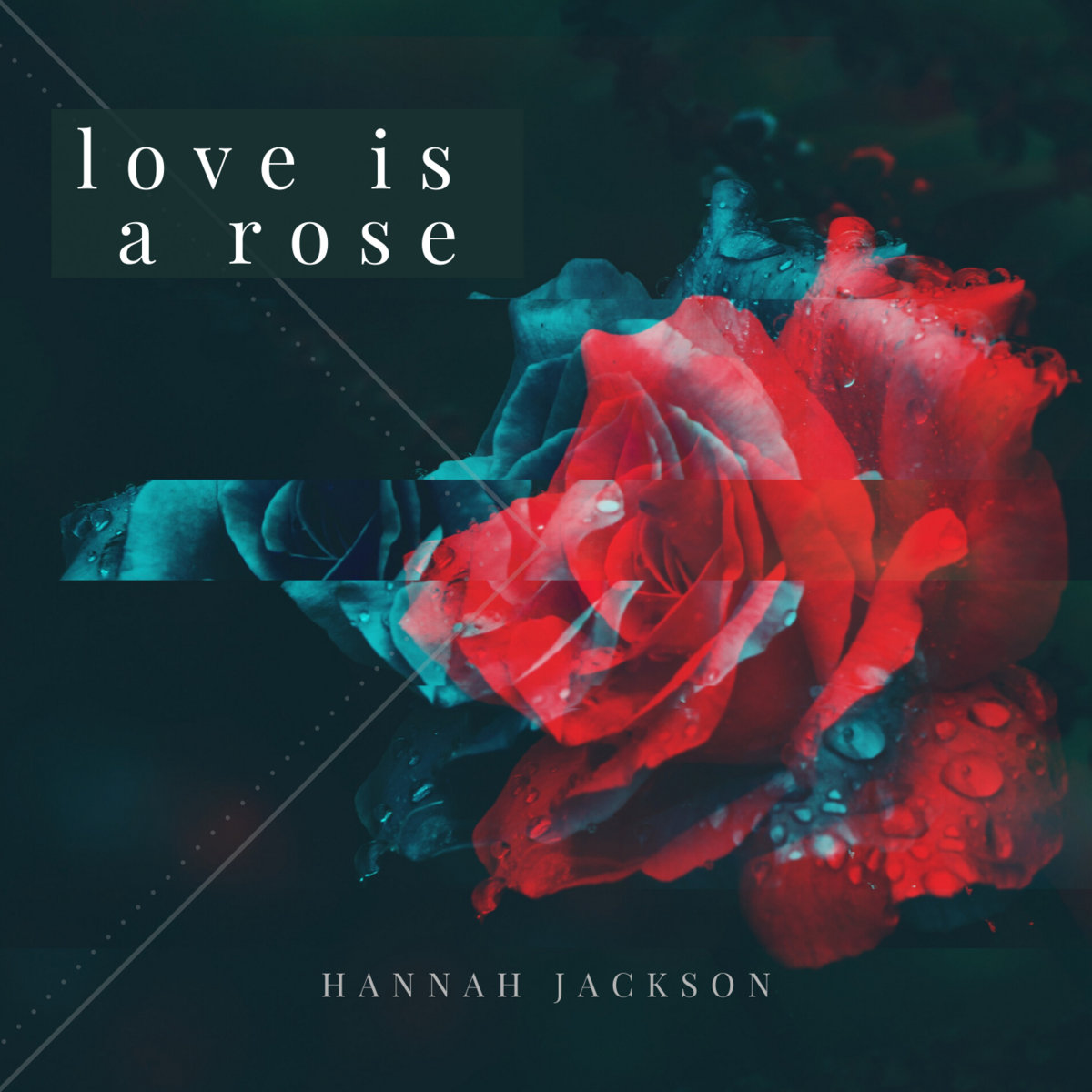 Love Is A Rose Hannah Jackson