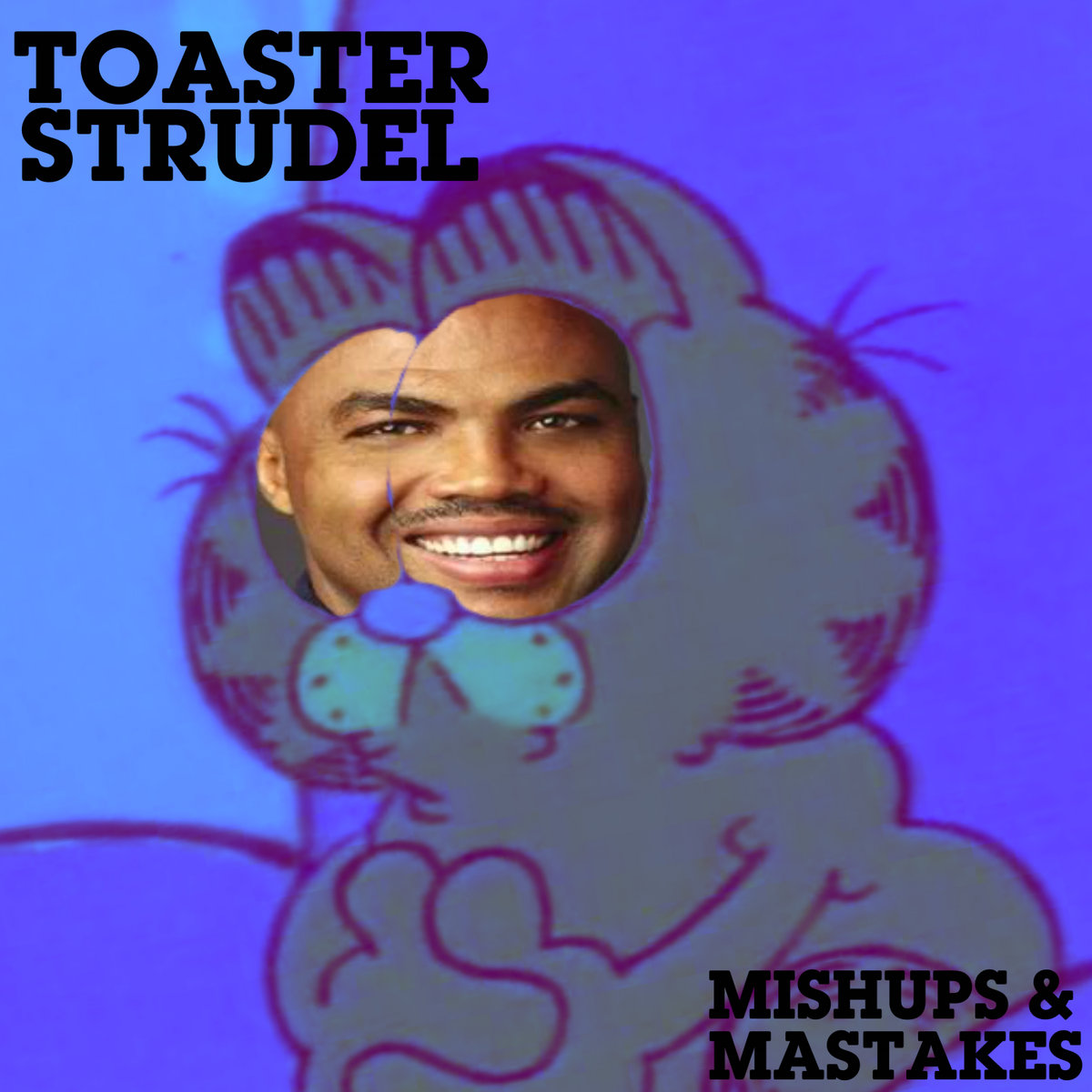 Mishups & Mastakes Toaster Strudel