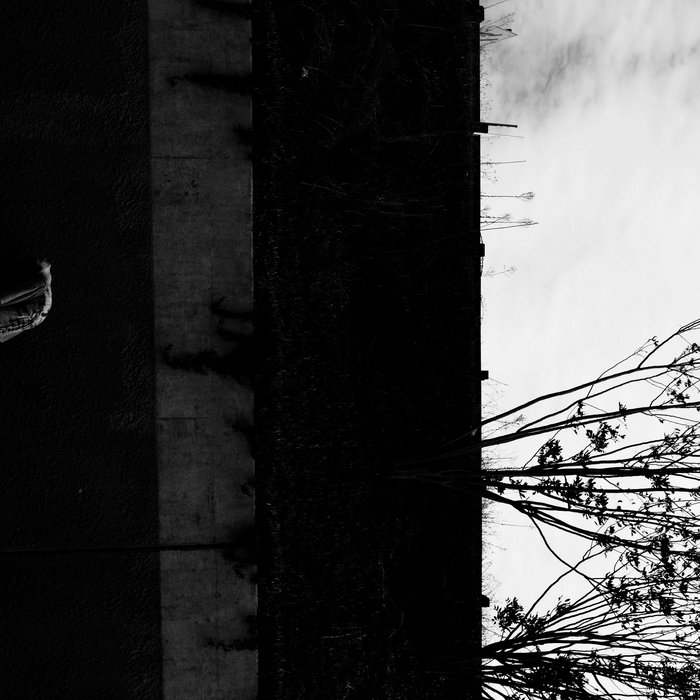 Stop Surviving Megan