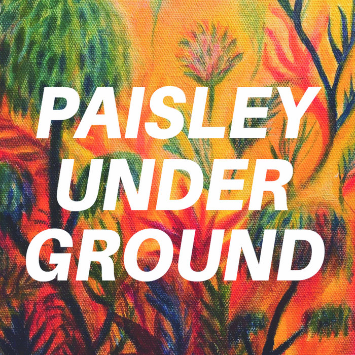 Paisley Underground Us