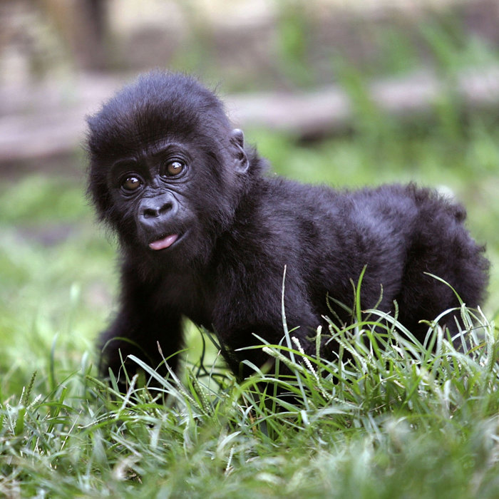 Call Me Crazy Tim "Buck" Two