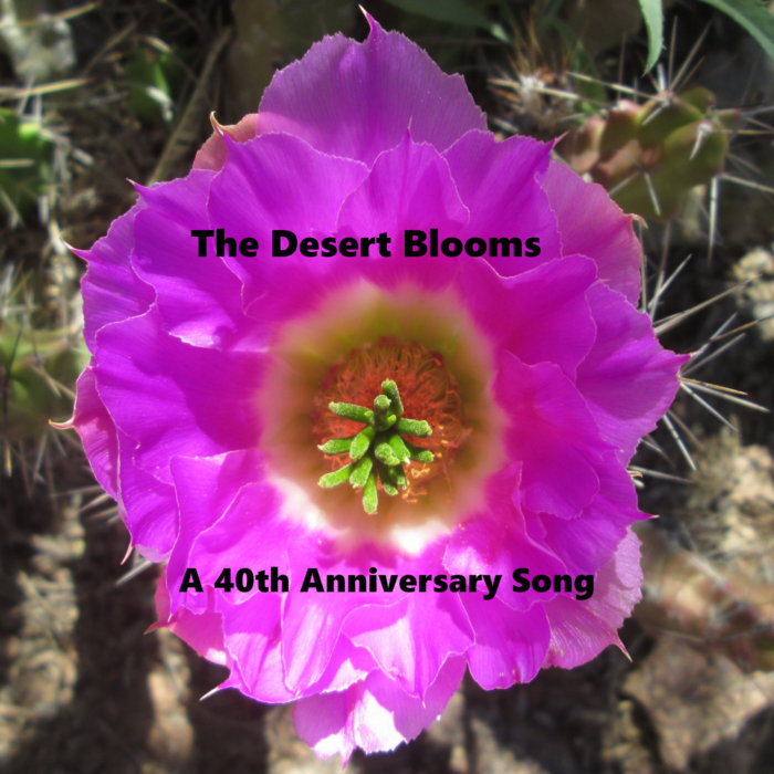 The Desert Blooms Lightning Lucas