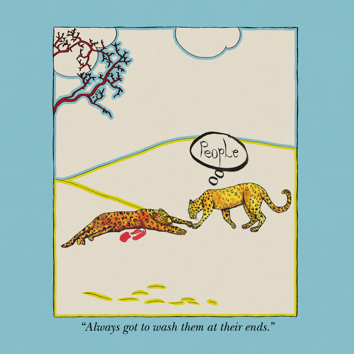 A complete list of the Bandcamp updates r/AnimalCollective