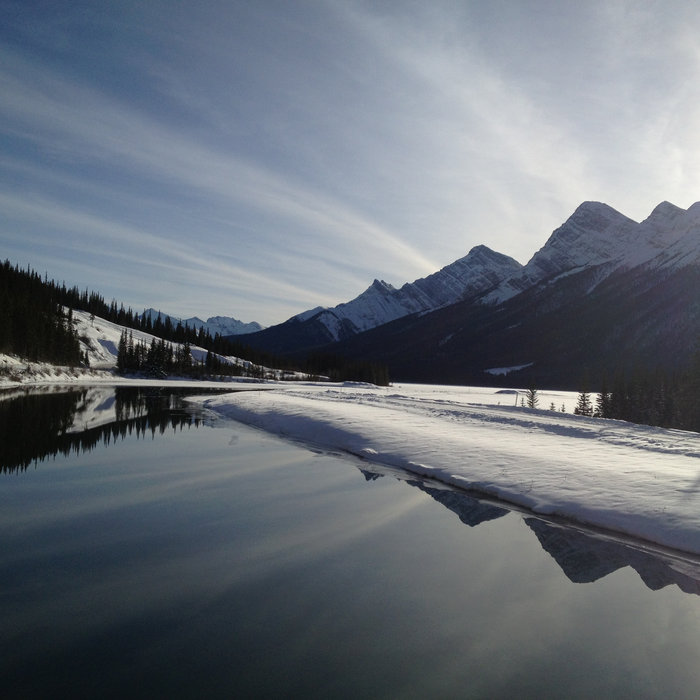 Cups (Lulu and the Lampshades Cover) Lisa Bassett