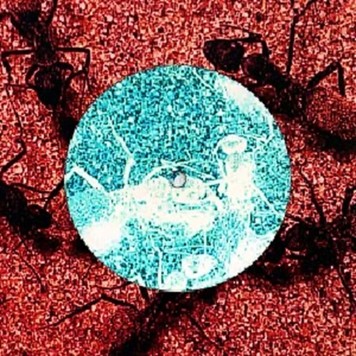 Butterfly & Ladybug BLACK EARTH BLACK EARTH FULL TAPE ARCHIVE (wow)