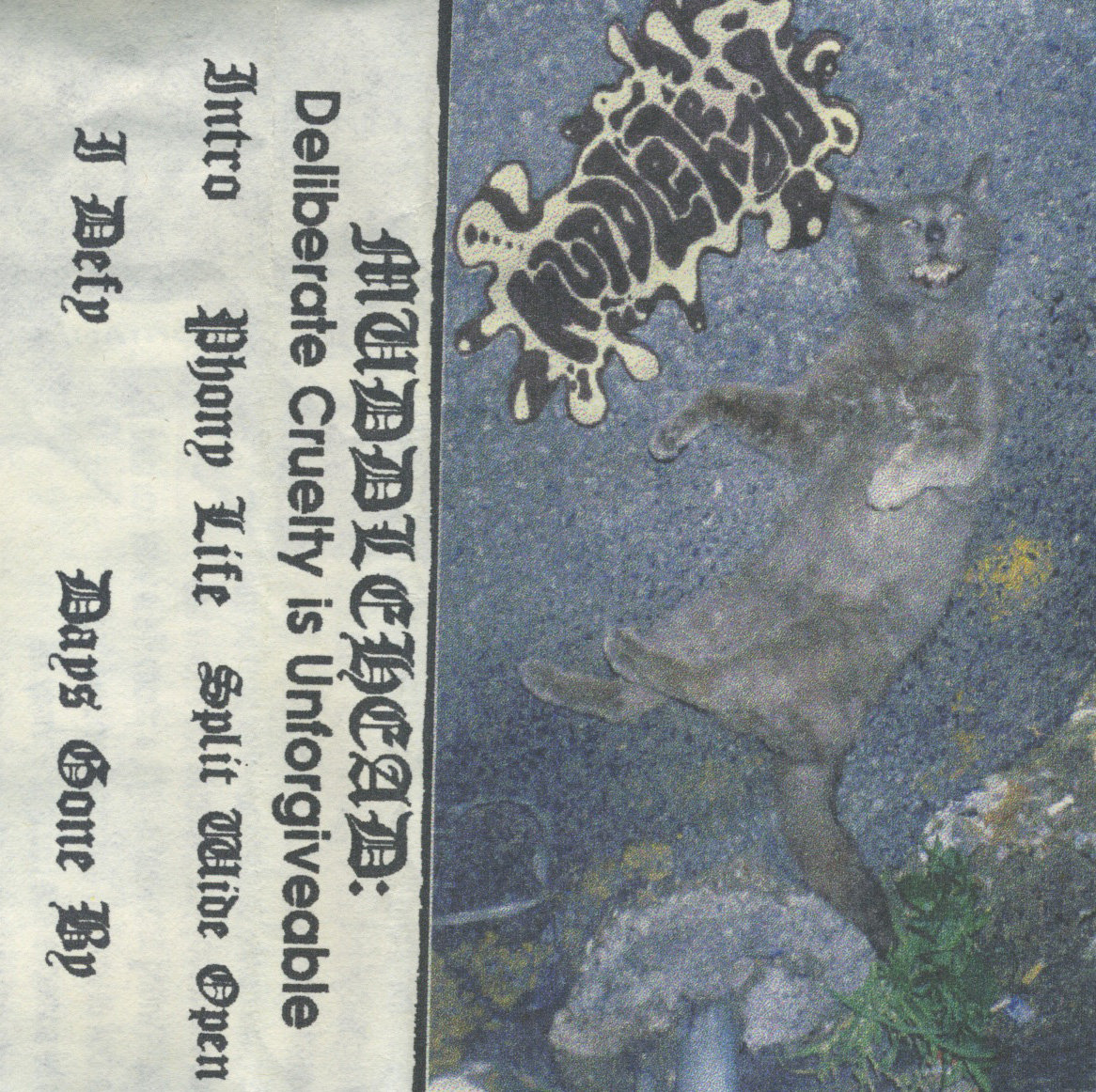 Deliberate Cruelty is Muddlehead