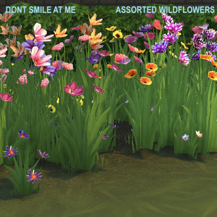 Assorted Wildflowers DONT SMILE AT ME