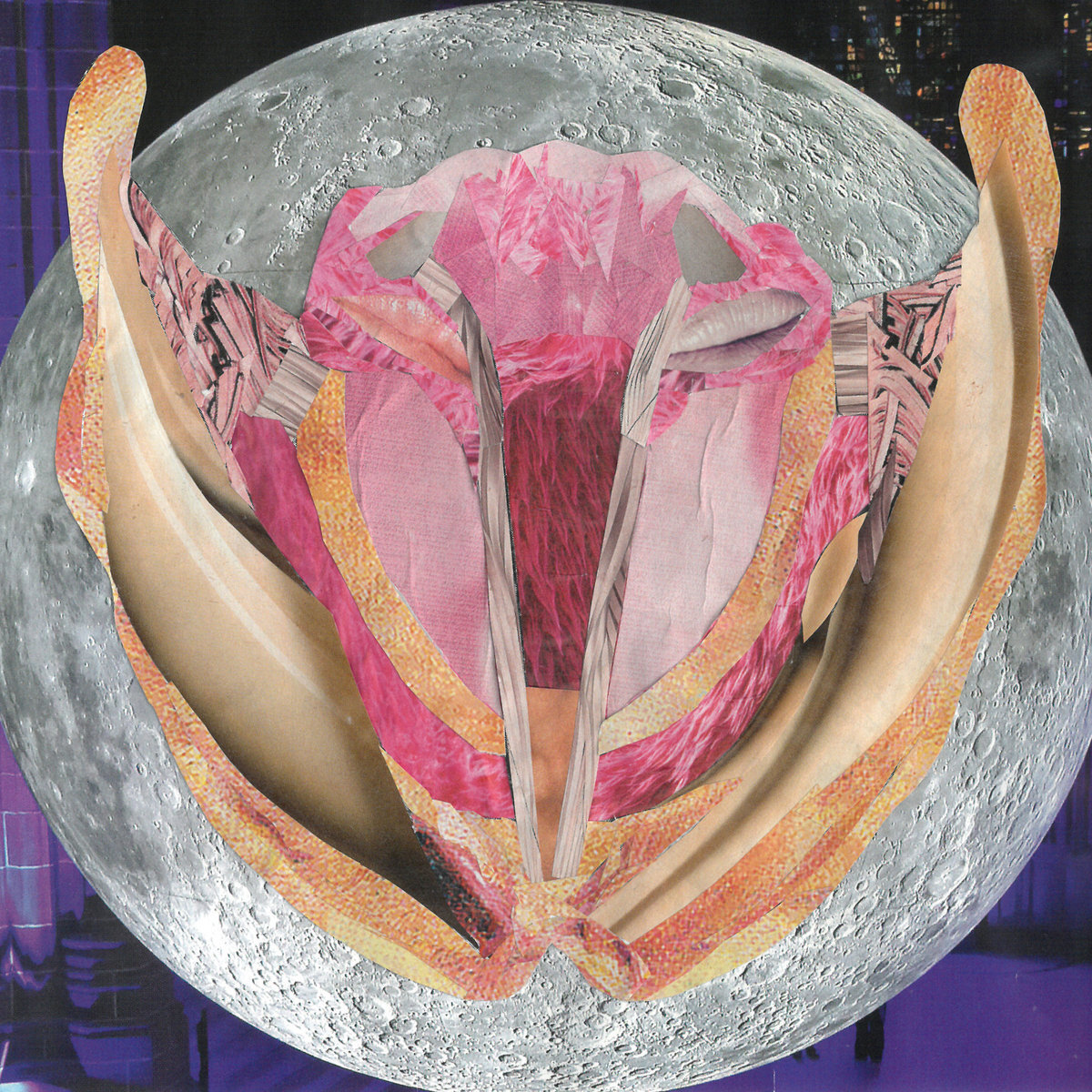 ELECTROLARYNX | Various Artists | Steep Gloss