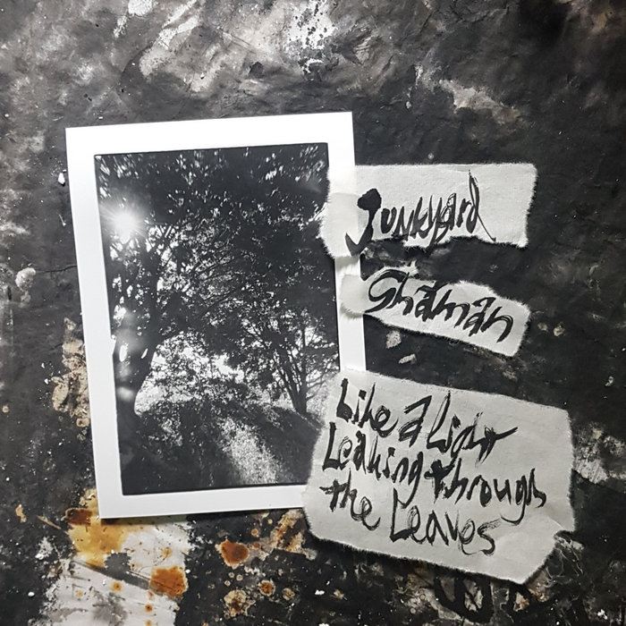 Like a Light Leaking Through the Leaves Junkyard Shaman