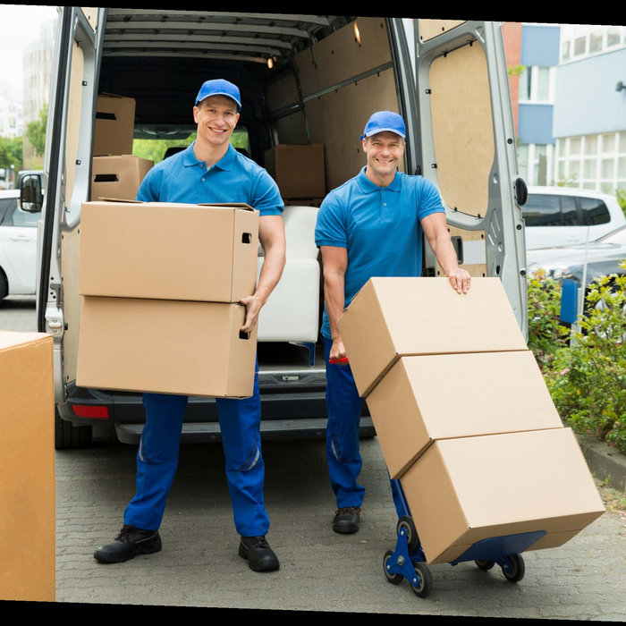 Pack Mule Movers Louisville Ky News Contact 1(855)7892734 pack mule