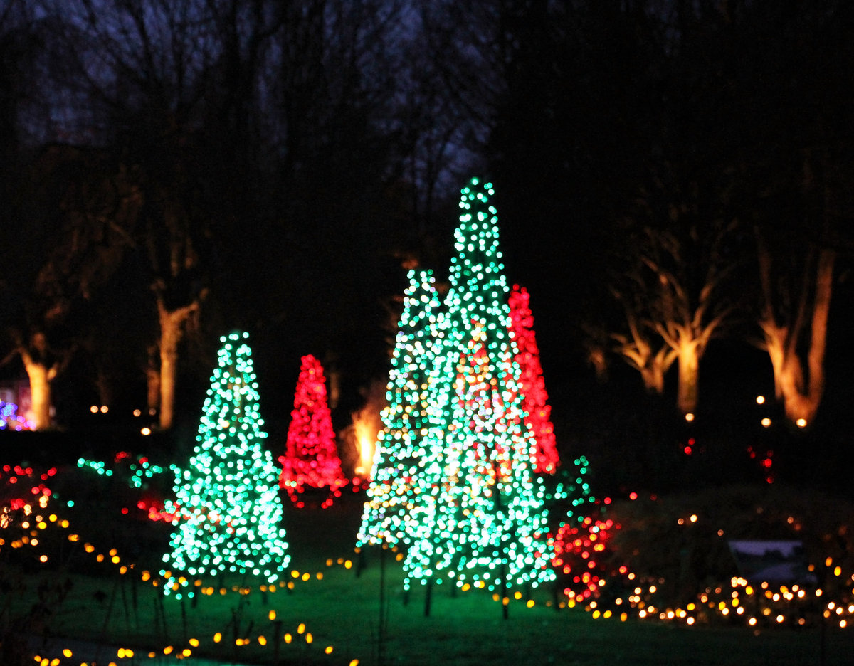 Van Dusen Gardens Christmas Lights Tickets Futuuleki piedawhungfolgsib