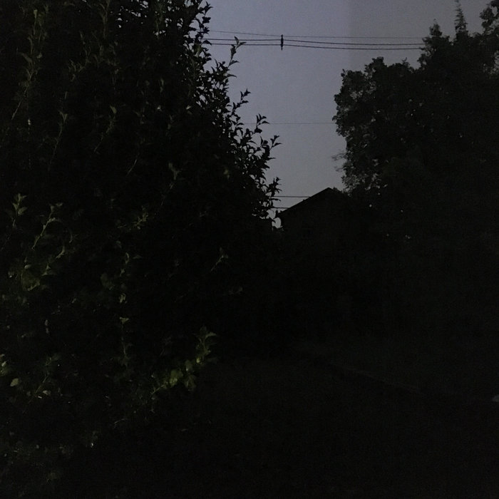 waxed lachrymose grave_