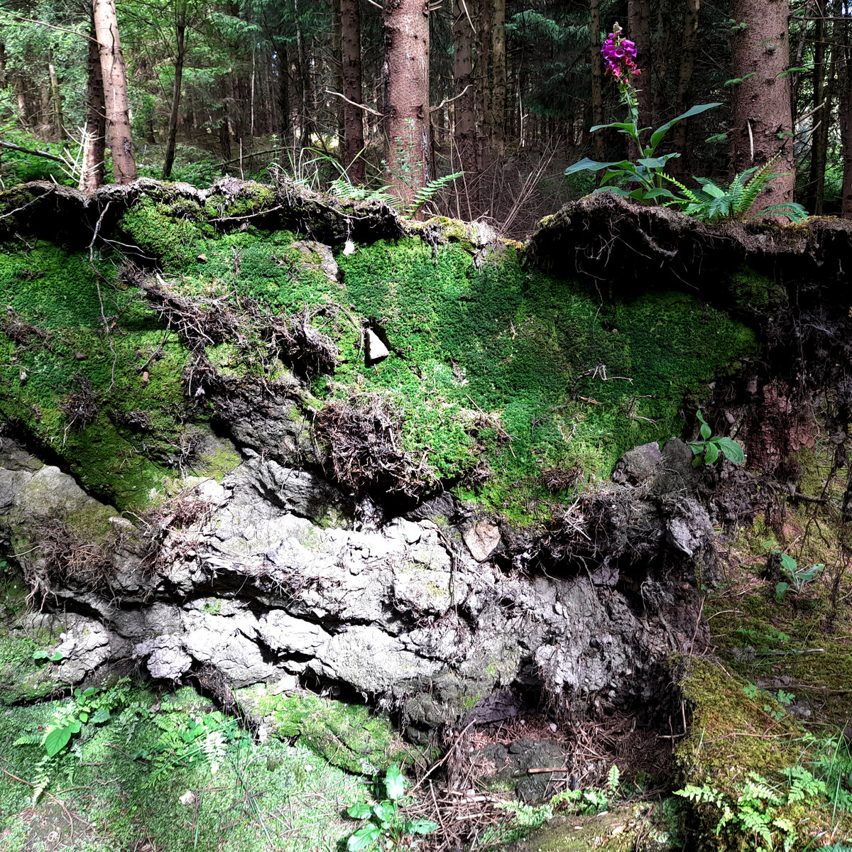 0507_2 Soundctuary Skeleton Woods soundctuary