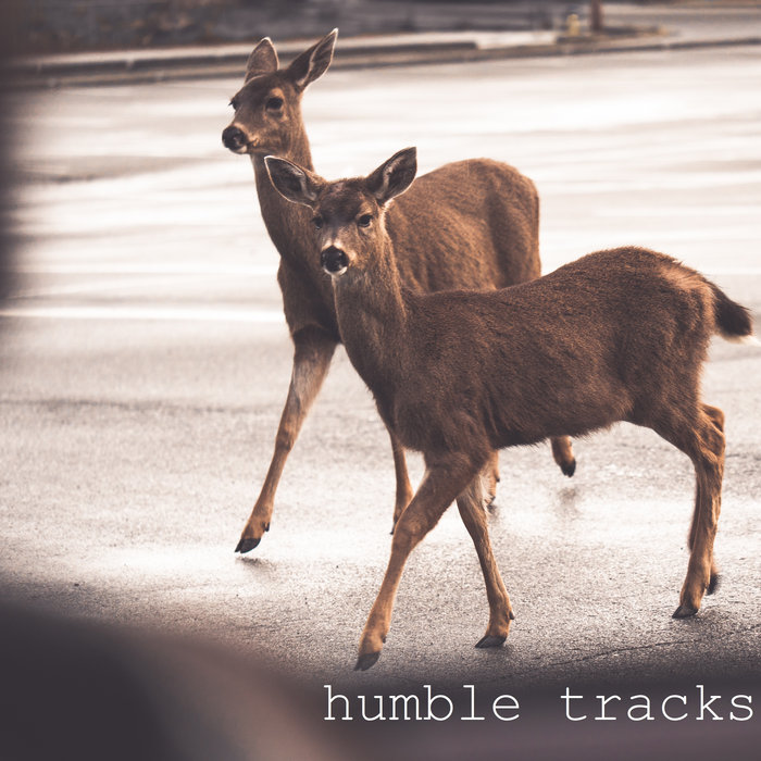 humble tracks Korey Purdy