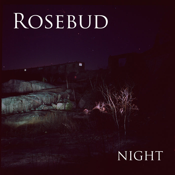 Night Rosebud