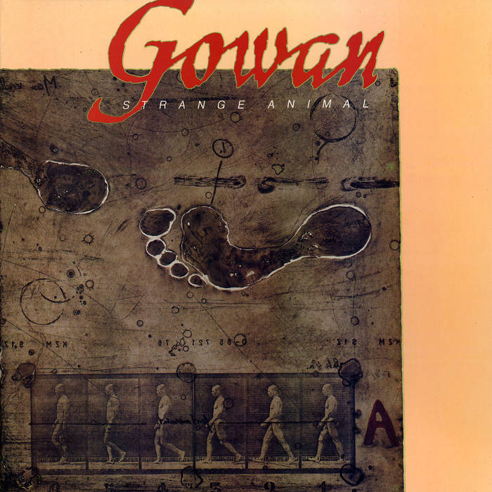 Strange Animal GOWAN