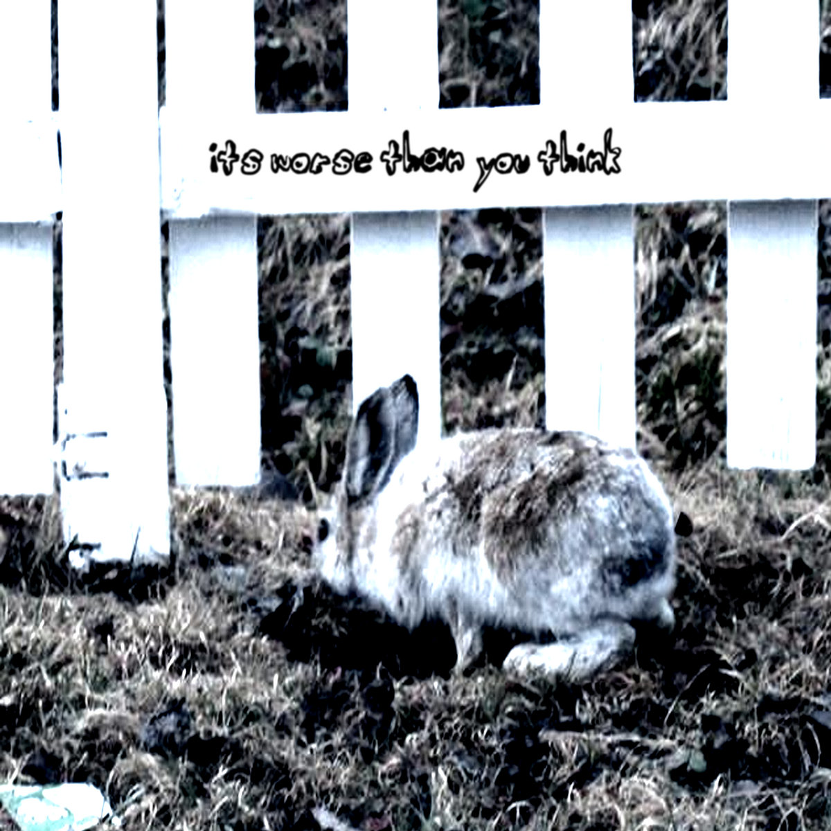 It's Worse Than You Think Opti