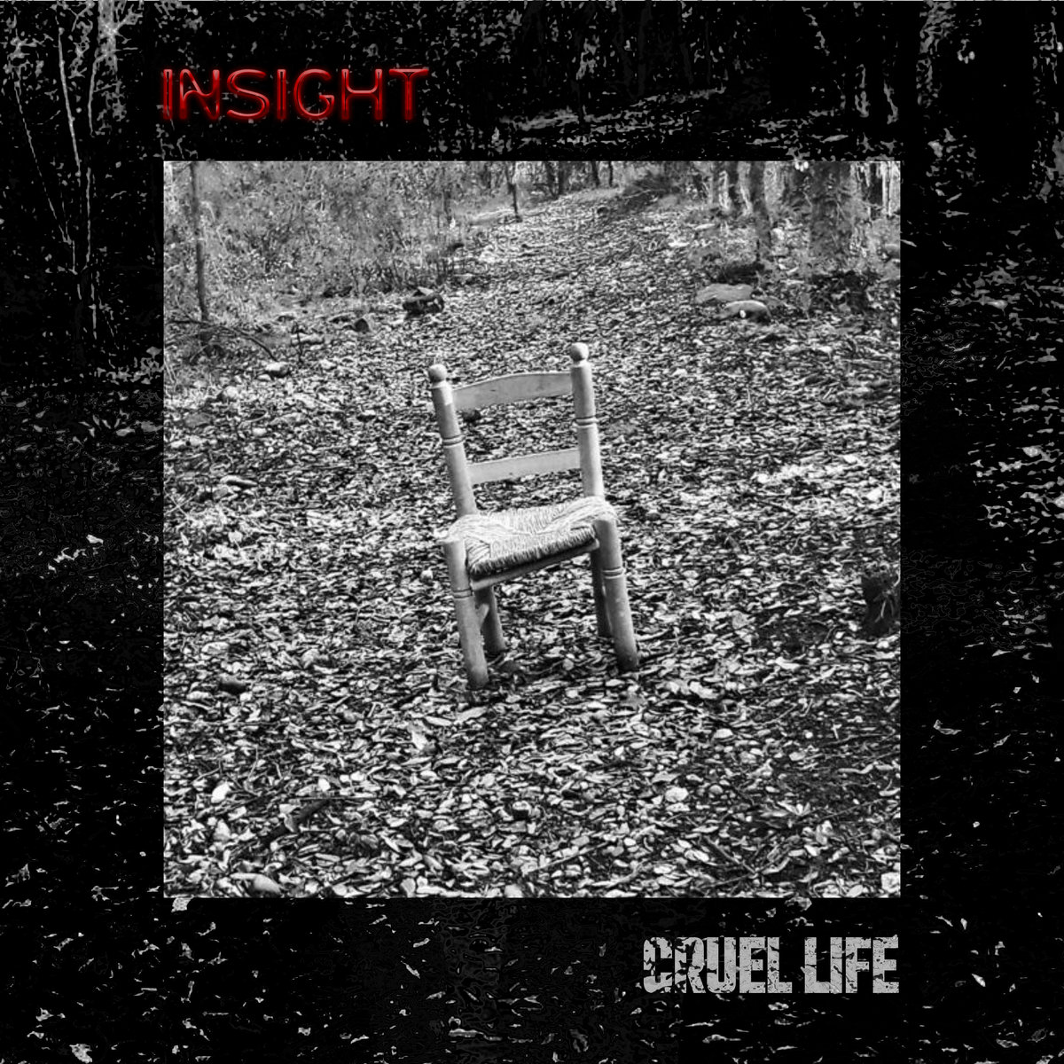Cruel Life (Single) Insight
