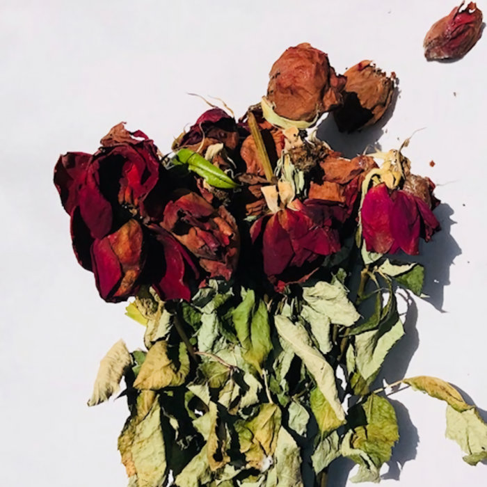 Flowers bloomed in the trash konofumin ARCHE