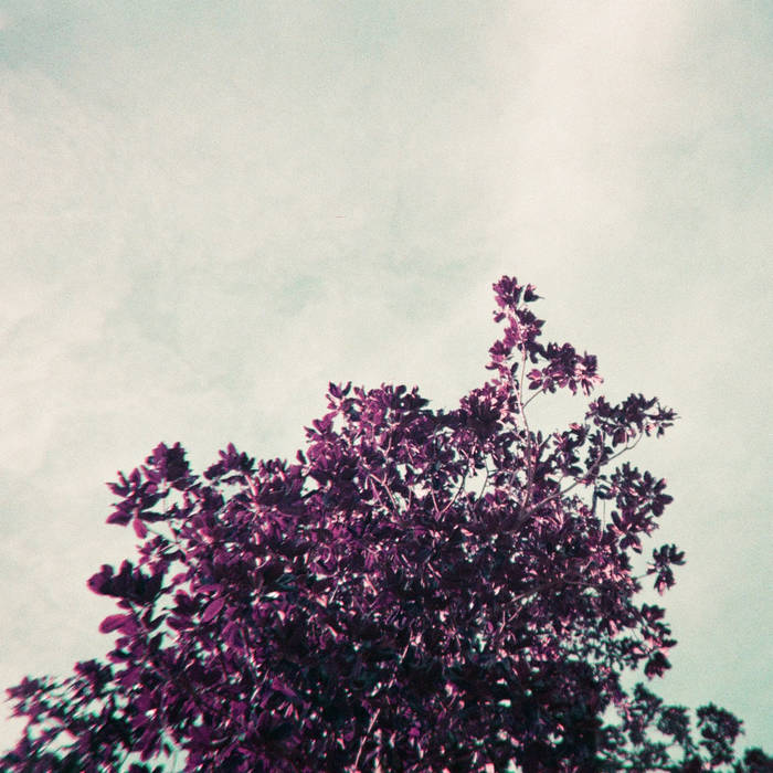 3 songs i guess Sun Laser