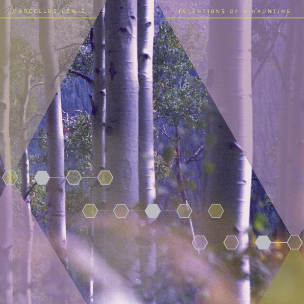 Intentions of a Haunting Marcellus Lewis