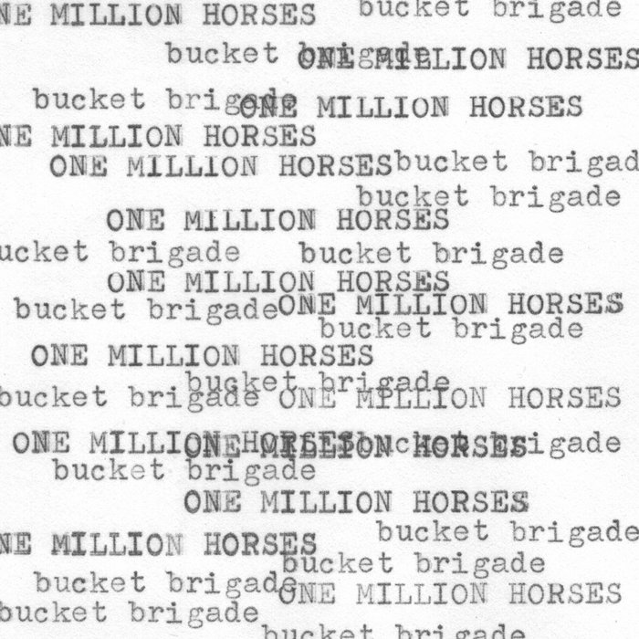 Bucket Brigade One Million Horses