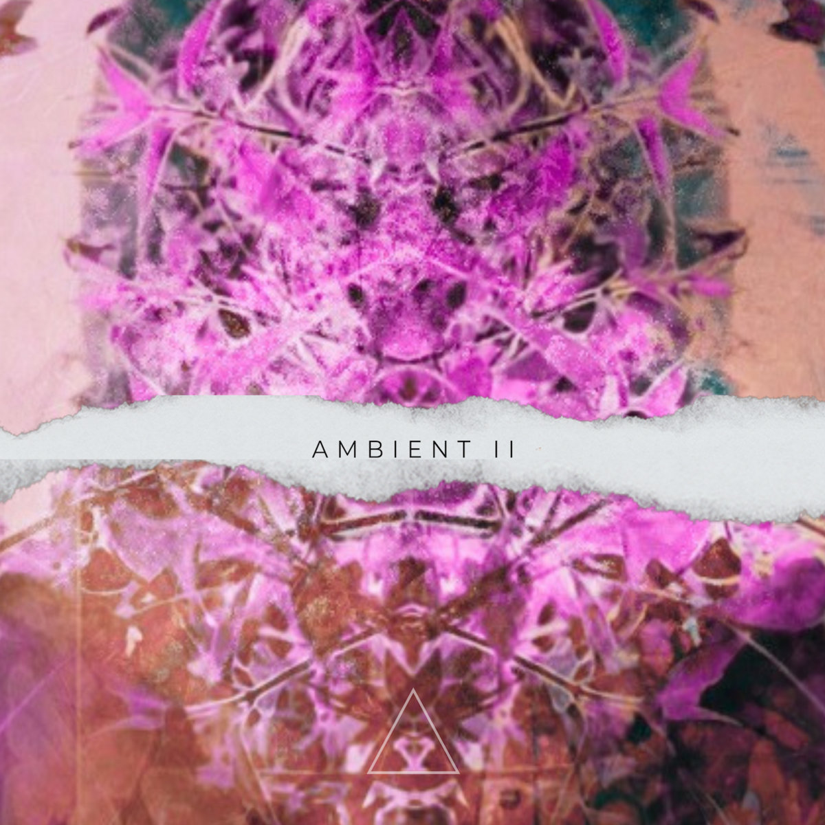 Ambient II | Various Artists | Atlantea Records