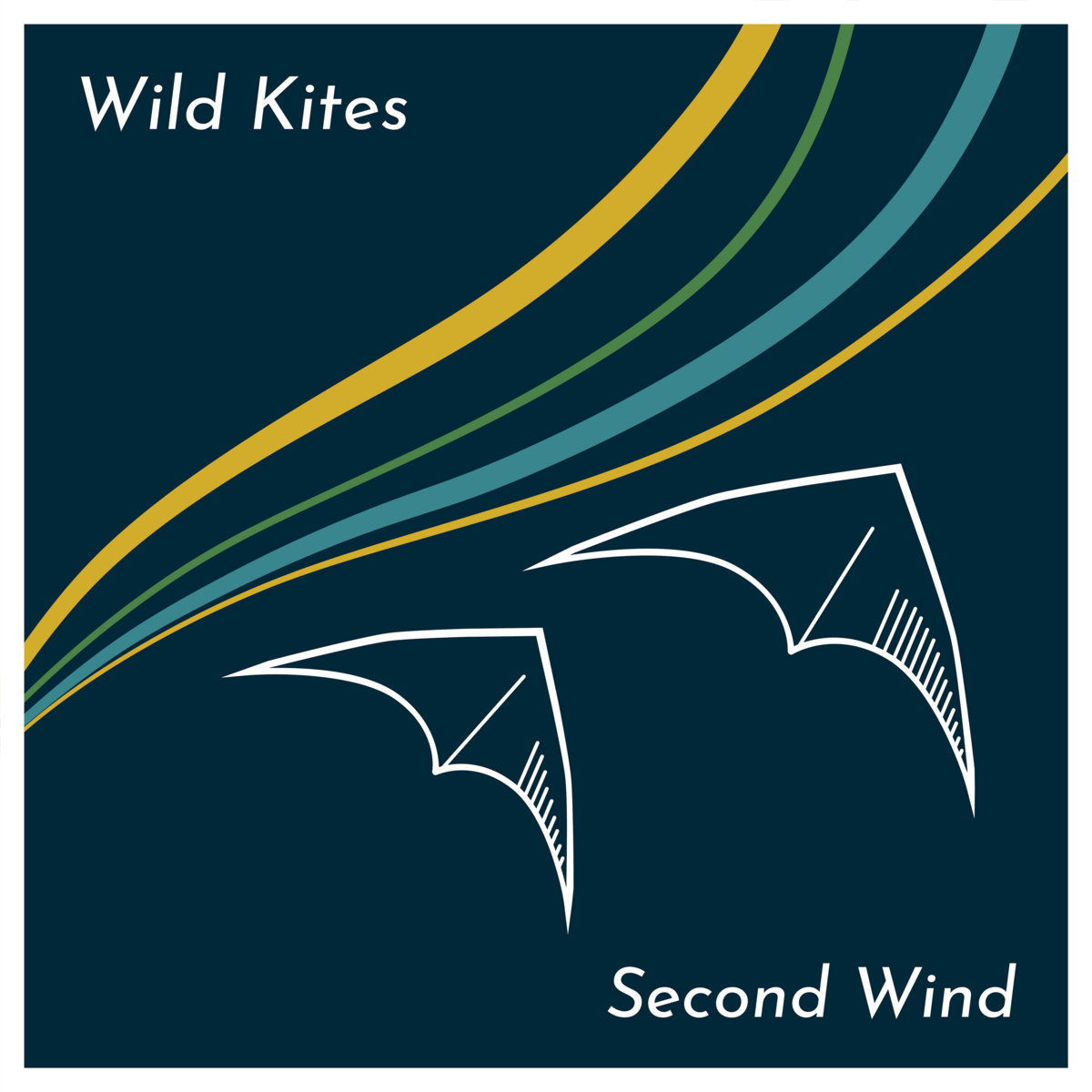 Second Wind Wild Kites