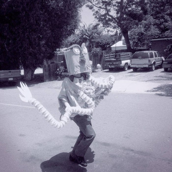 DadFad Demo Flowers Taped to Pens