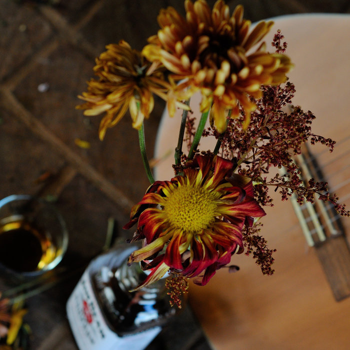 Whiskey And Wildflowers Wess McMichael