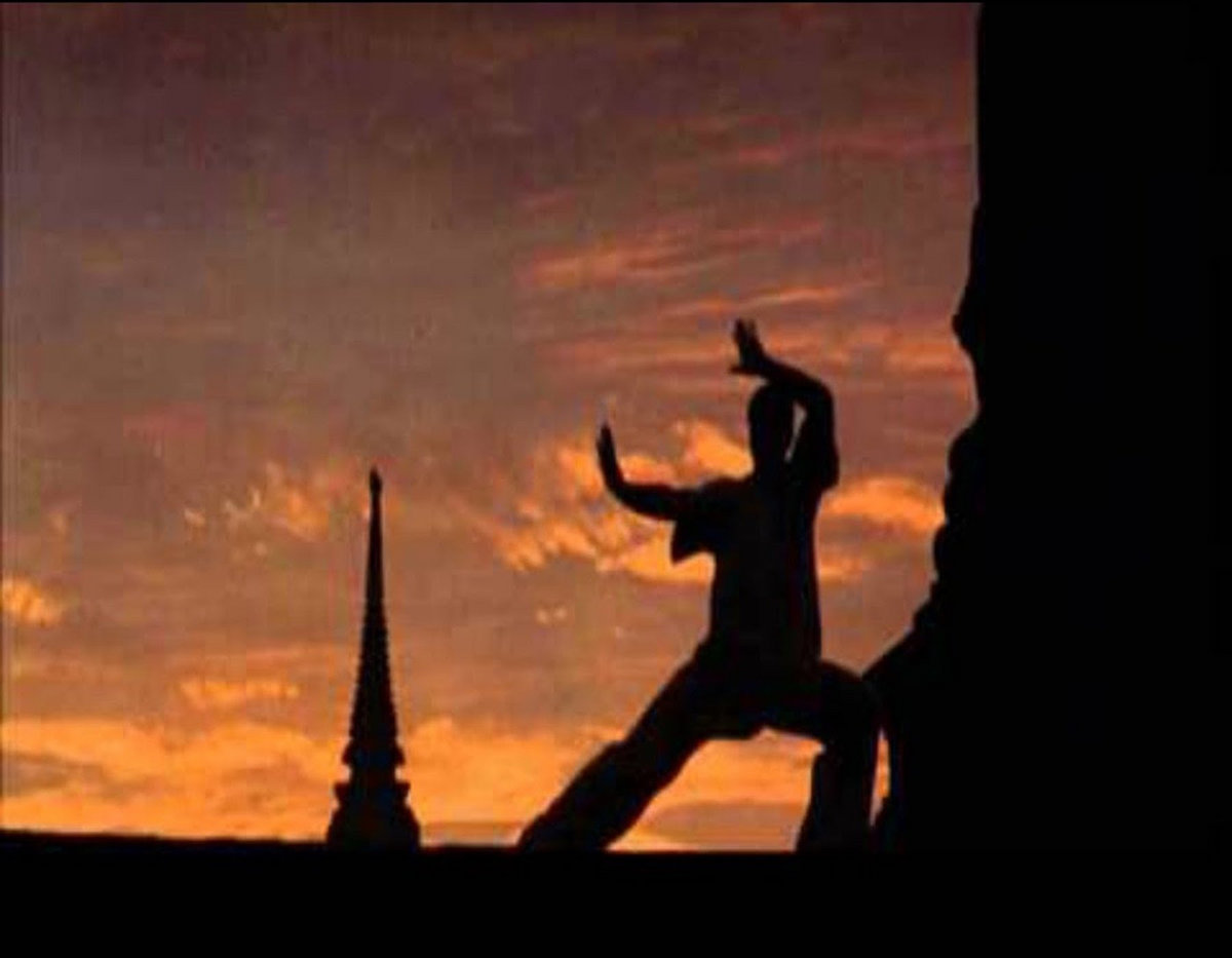 Bloodsport / Kickboxer / Paul Hertzog Inspired Composition Kumite