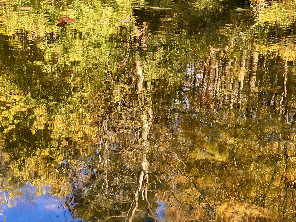 Riversong (Memorial Potamology) A.S. Coomer