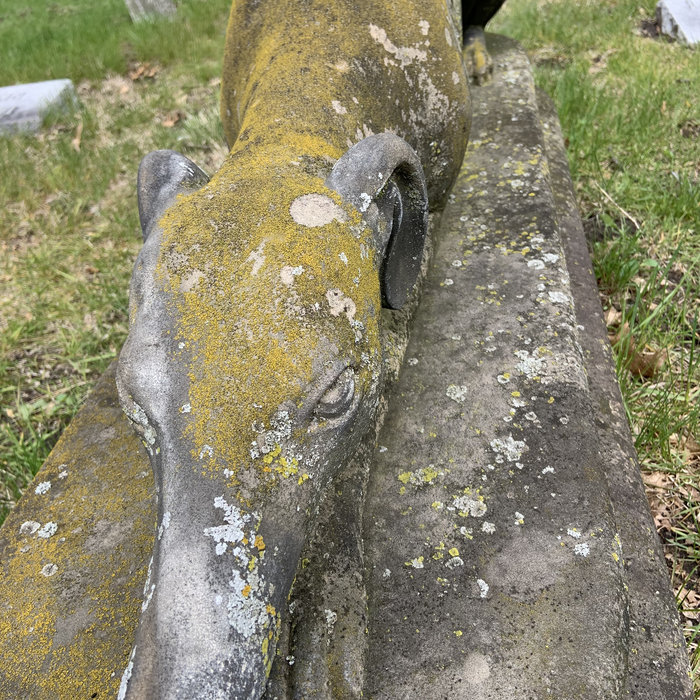 Both Noun and Verb Pan•American