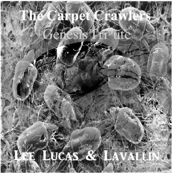 The Carpet Crawlers (Genesis Tribute) Lee Lucas & Graham Lavallin