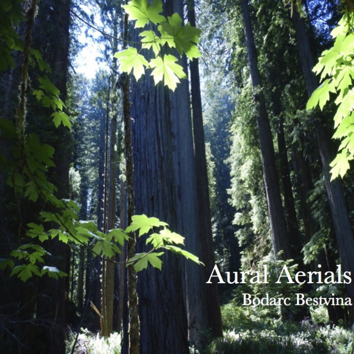 Aural Aerials Bodarc