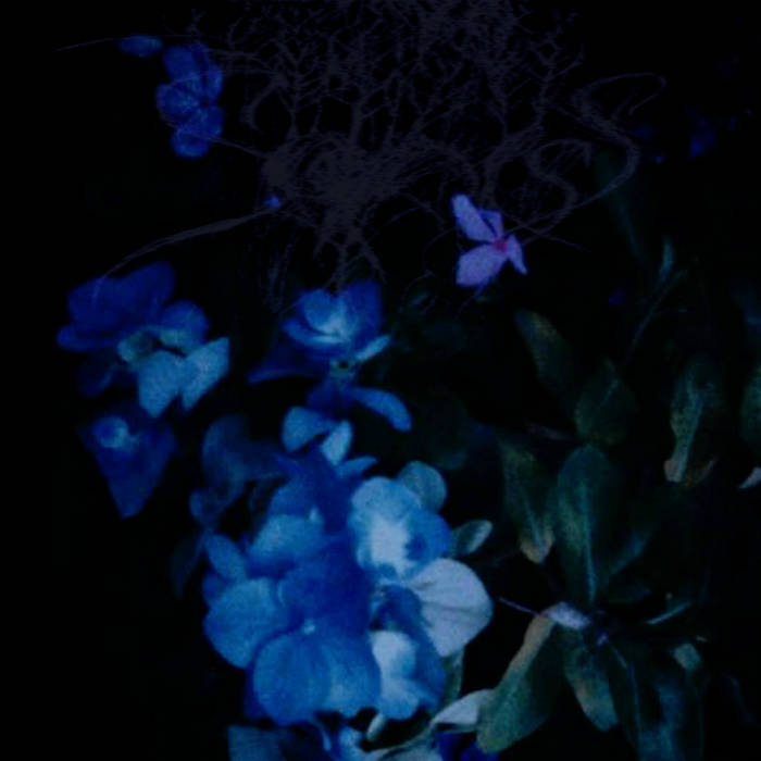 Navy Blue Tumblr Backgrounds