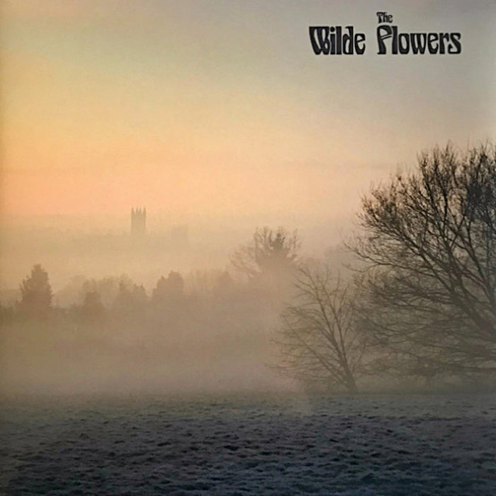 The Wilde Flowers (LP) The Wilde Flowers Richard Sinclair