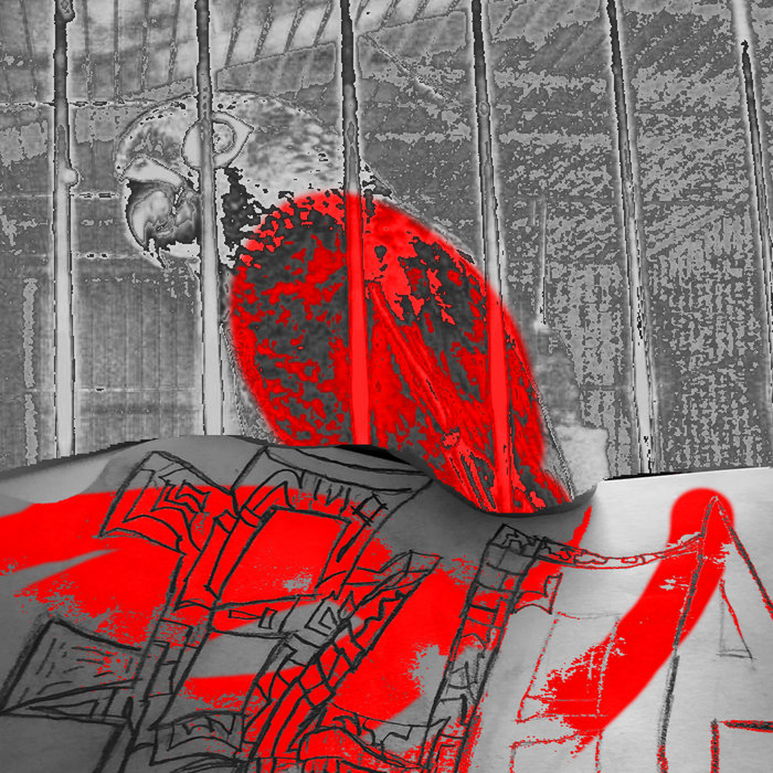 Analogy of Bird in Cage Personification Drowning in Baikal