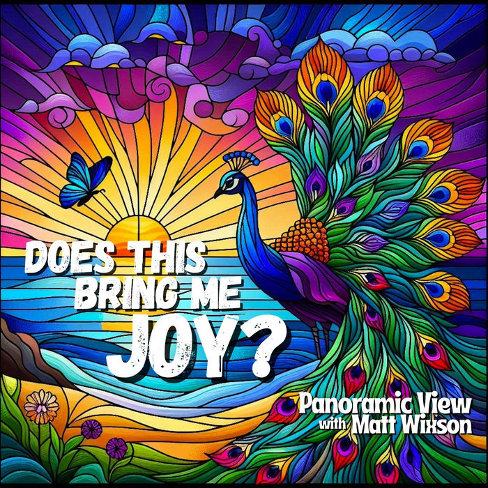 Does This Bring Me Joy? Panoramic View Steel Drums