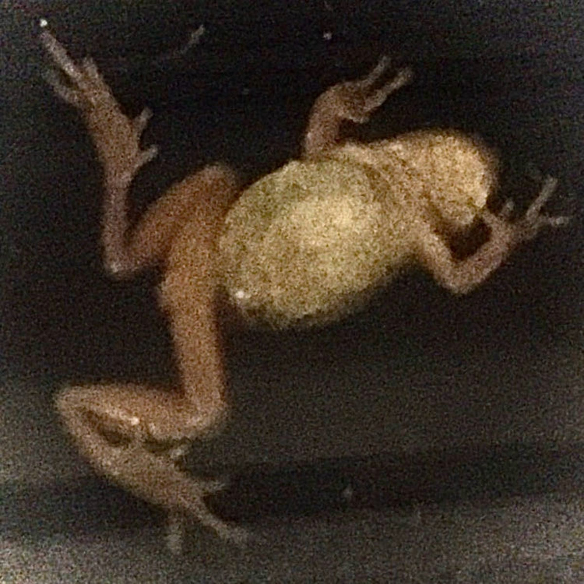 Tumble Over Demo Tumble Over